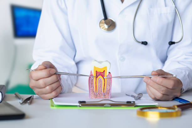 Best Urgent Tooth Repair  in Cologne, MN